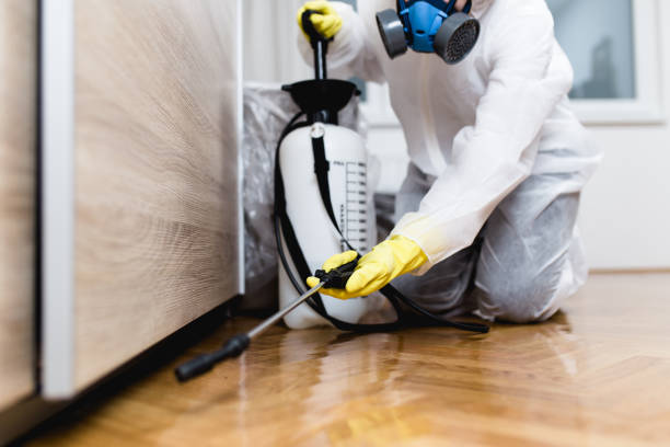 Best Residential Pest Control  in Hamilton, GA