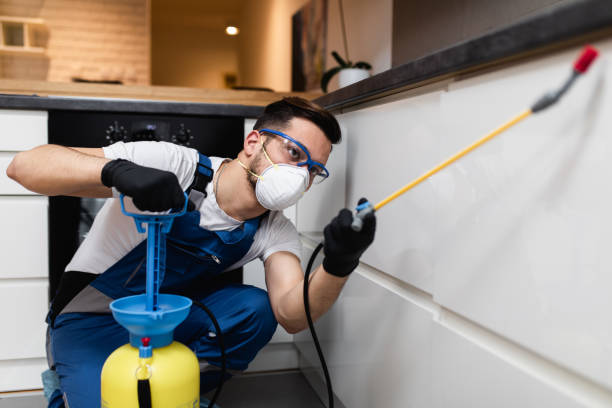 Best Wasp Removal Services  in Hamilton, GA