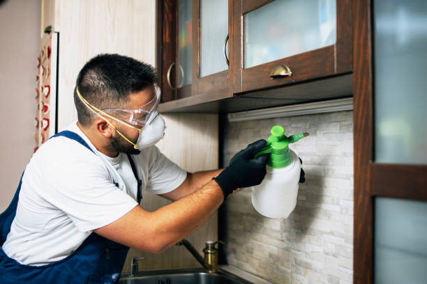Best Wasp Removal Services  in Hamilton, GA