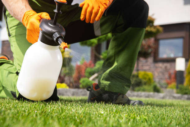 Best Affordable Pest Control Services  in Hamilton, GA