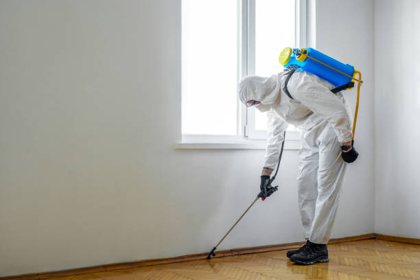 Best Rat Extermination Near Me  in Hamilton, GA