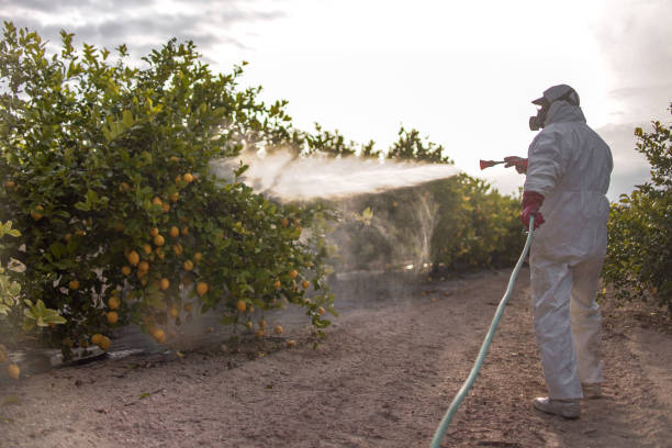 Best Ant Control Services  in Hamilton, GA