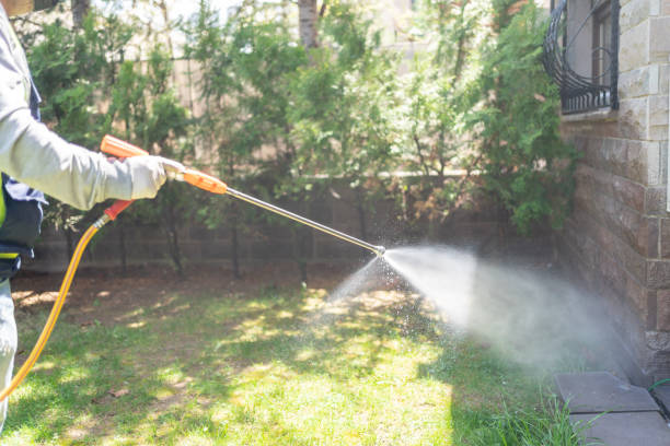 Best Pest Control for Businesses  in Hamilton, GA