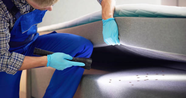 Best Best Pest Control Near Me  in Hamilton, GA