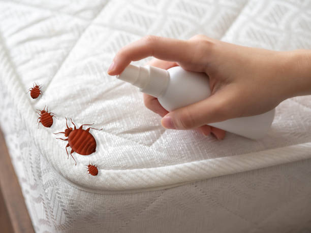 Best Cockroach Control Services  in Hamilton, GA